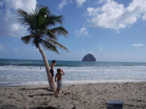Papayer ! Le studio pour des vacances tropicales